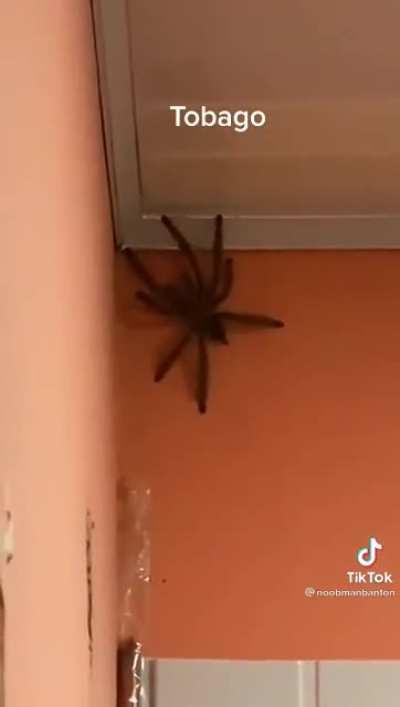 Keep the house, grab nothing we’re moving in 30 seconds