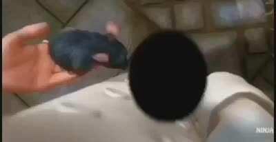 gotta do what u gotta do 🙏🏻