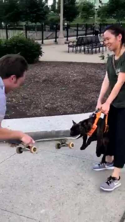 This is Pumpkin’s skateboard now