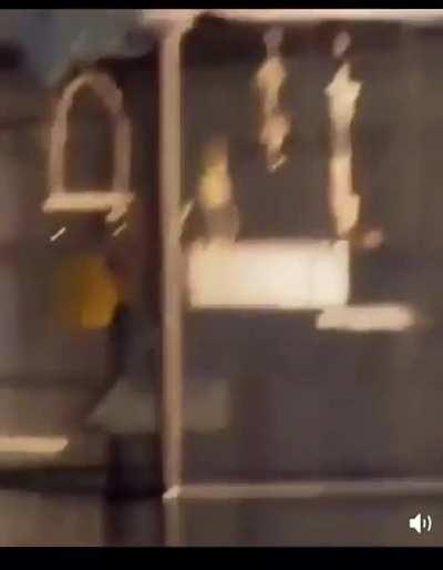 When your pet bird is cultured enough to appreciate the shuba dance.🎶🦆🎶