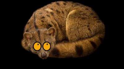 mmmmmmmmmmmmmmmMMMMMMMMMMMMMMMMM