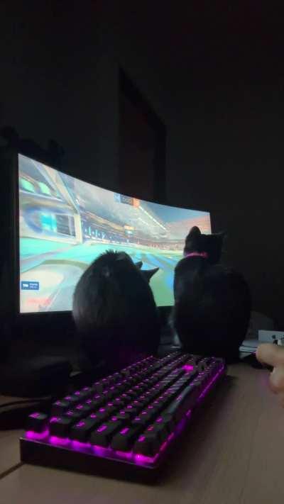 They do this every time 😂