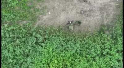 A Ukrainian drone dropping a munition on a Russian soldier trying to take a dump