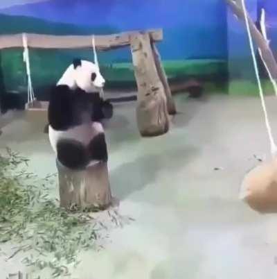 This is the cutest thing i saw today