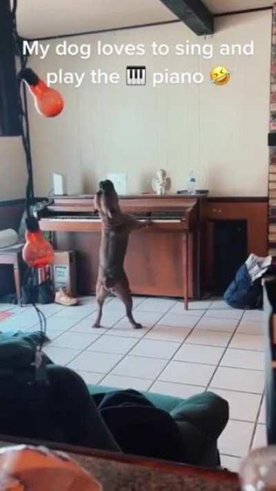 Prodigy pit serving a masterpiece