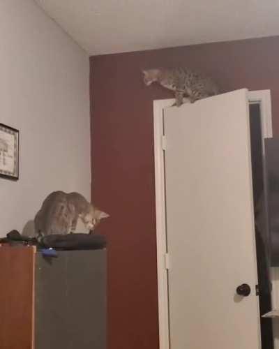 Don't know what I expected