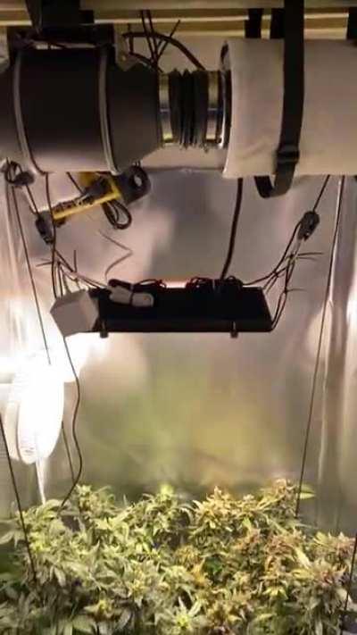 Secret Weed Box Success!!!