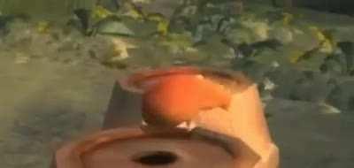 Hora do parkur de carioca