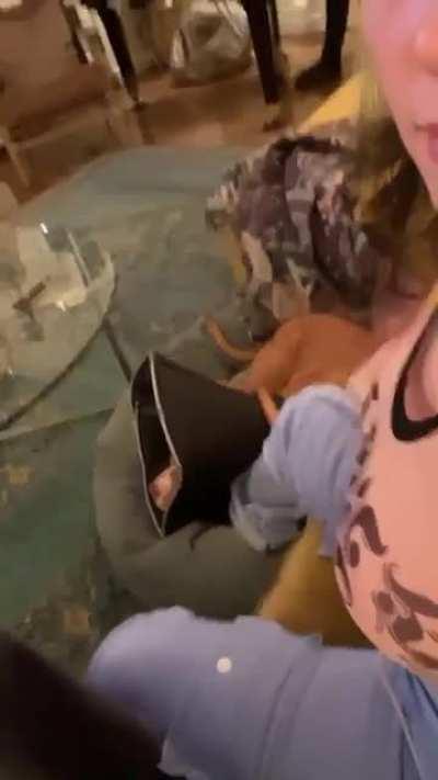 Serverlerin düzelmesi şerefine alkışlı kutlama