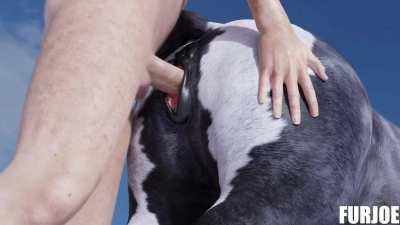 Having fun with his mare [MF] (furjoe)