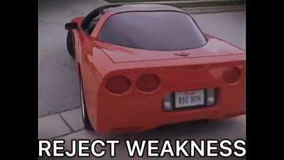 Are you not entertained?