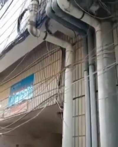 Life will always find a way