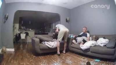 Dog Destroys Glass Table