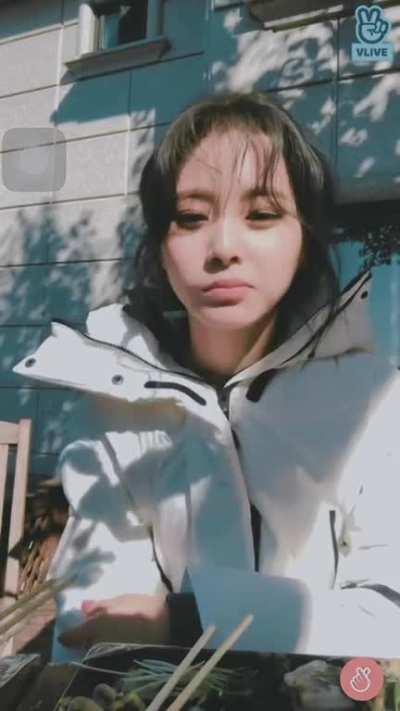 Tzuyu speaks Japanese