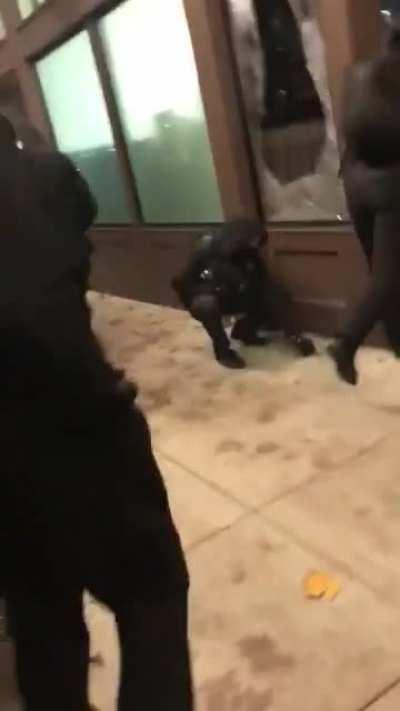 Portland antifa smash windows as someone chants 