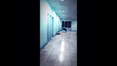 OddlyTerrifying_Umbrella_Spider