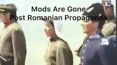 Quick before they come back