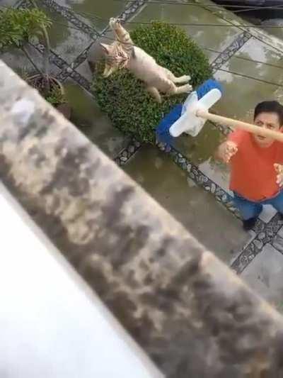 need a little help human