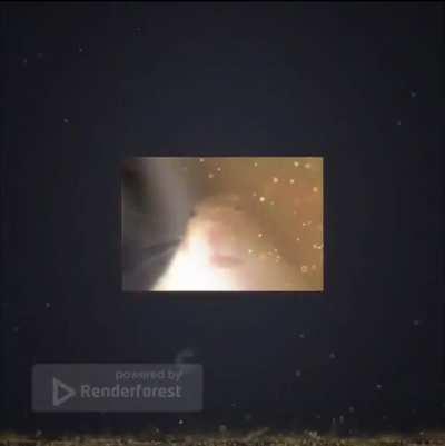 a little nut (idek how this got on my “schlevice”)