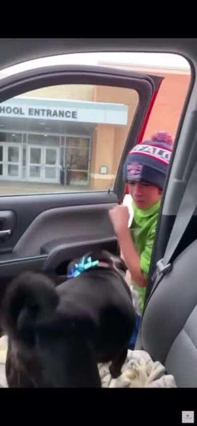Boy reunites with lost dog!
