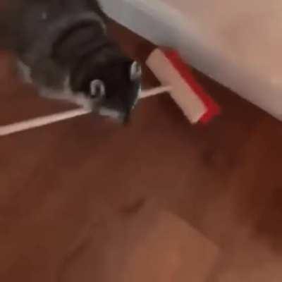 Trashpanda arbeitet hart daran sein Image aufzubesern