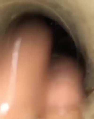 What is this creature