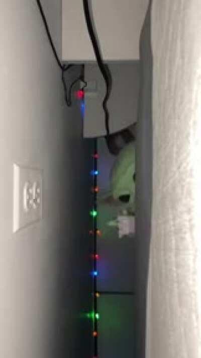 The struggle is real.