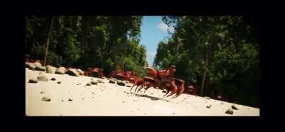 Ikð¦ð¦ð¦ð¦ð¦ihe