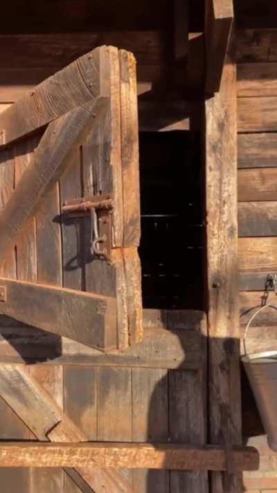 “I’m going to bed…did you see?” - baby Bondeni at Sheldrick Wildlife Trust in Kenya