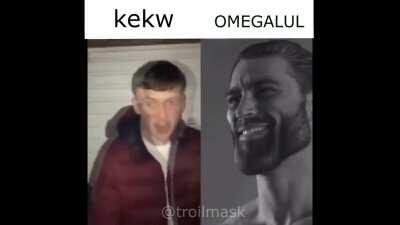 solamente conocedores