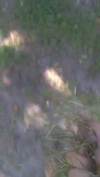 Touching grass cause some dumbass told me too