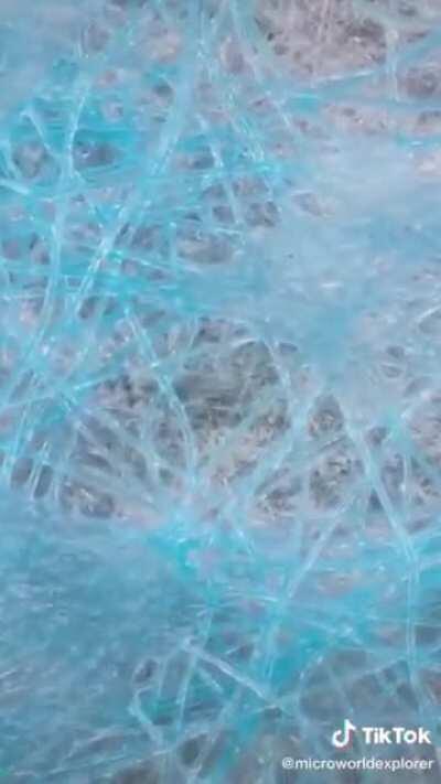 Microscope zoom into a mask