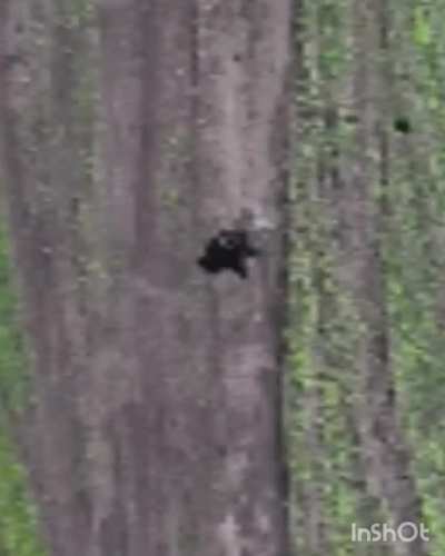 Ukrainian drone munition nicknamed 