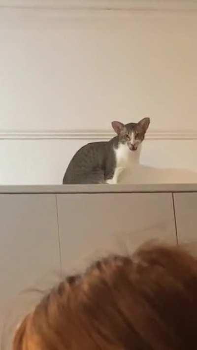 A bit of crab and then a lot of chatter