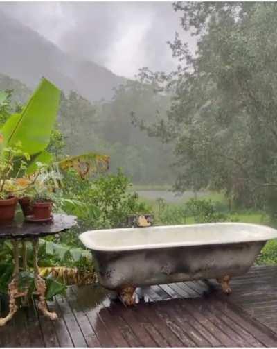 credit to @sallymustang (insta)