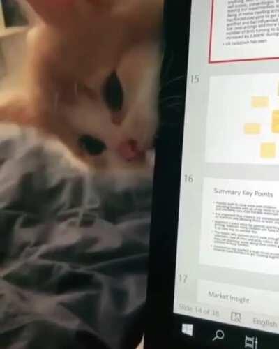 Pay attention to meeeeeeeeeeeee!