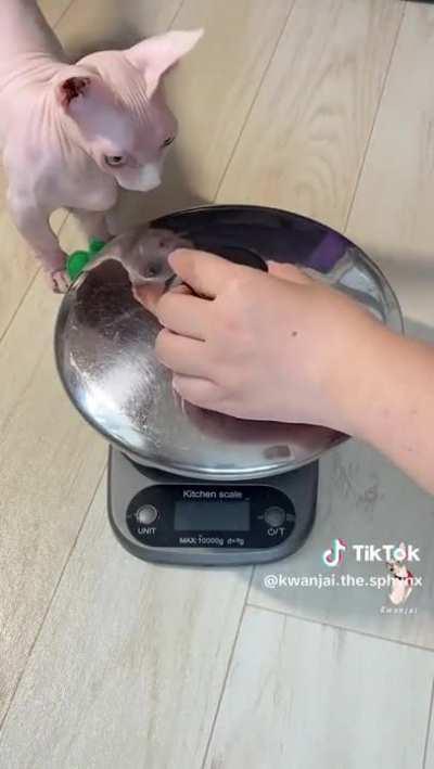 She will be hot pot alhamdulillah