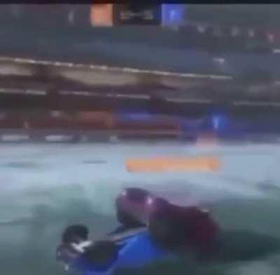 ¿Es este el crustaceo cascarudo?