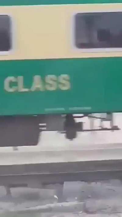 Even Indian Donkeys aren’t safe from Stupidity lol. Watch this in Slow Motion and you’ll get another kick out of it lol. RIP Burro