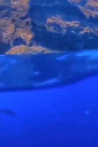 amiguinho 🥰🥰🥰