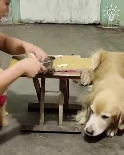 Mom dog stole some food and shared it with her adorable puppy! Moms!