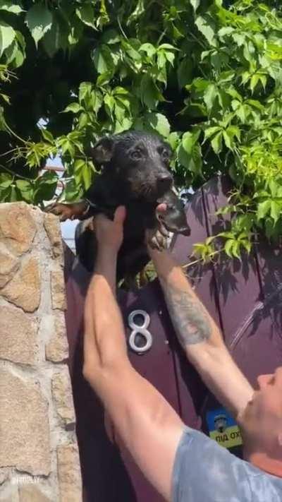 All in a volunteer’s day’s work, saving animals from the flood in Kherson, 06.06.23