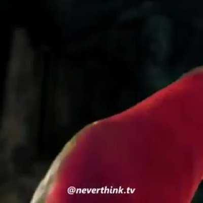 Ya aprendí a subir memes.