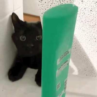 Fuck you and your fucking shampoo