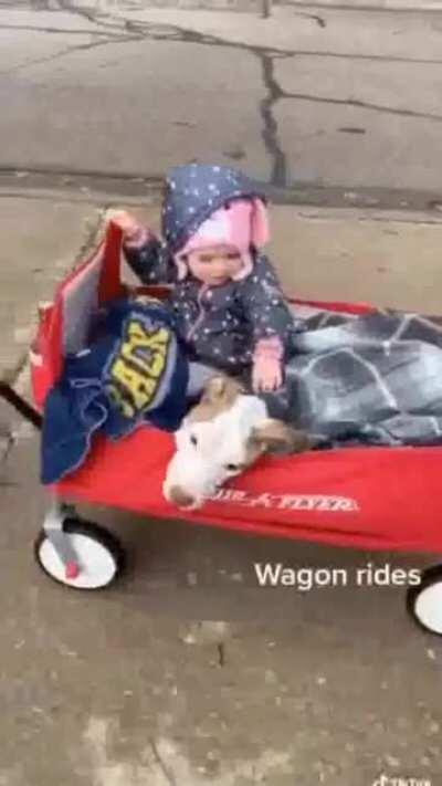 Worst feeling ever when you have to lose your Pet 😭😭 Credit tiktok: homedogresort