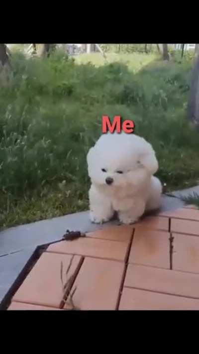 Ash is pretty intense 😳