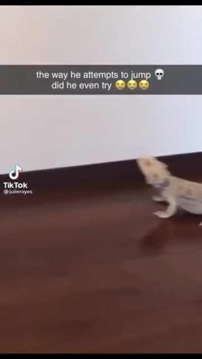 Found this gem on TikTok.