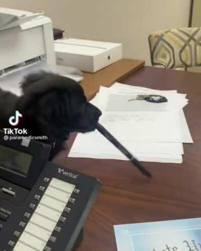 The perfect coworker