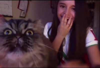 Singing girl is interrupted in the most adorable way.