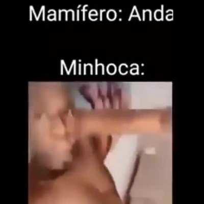 Minhocas são foda.